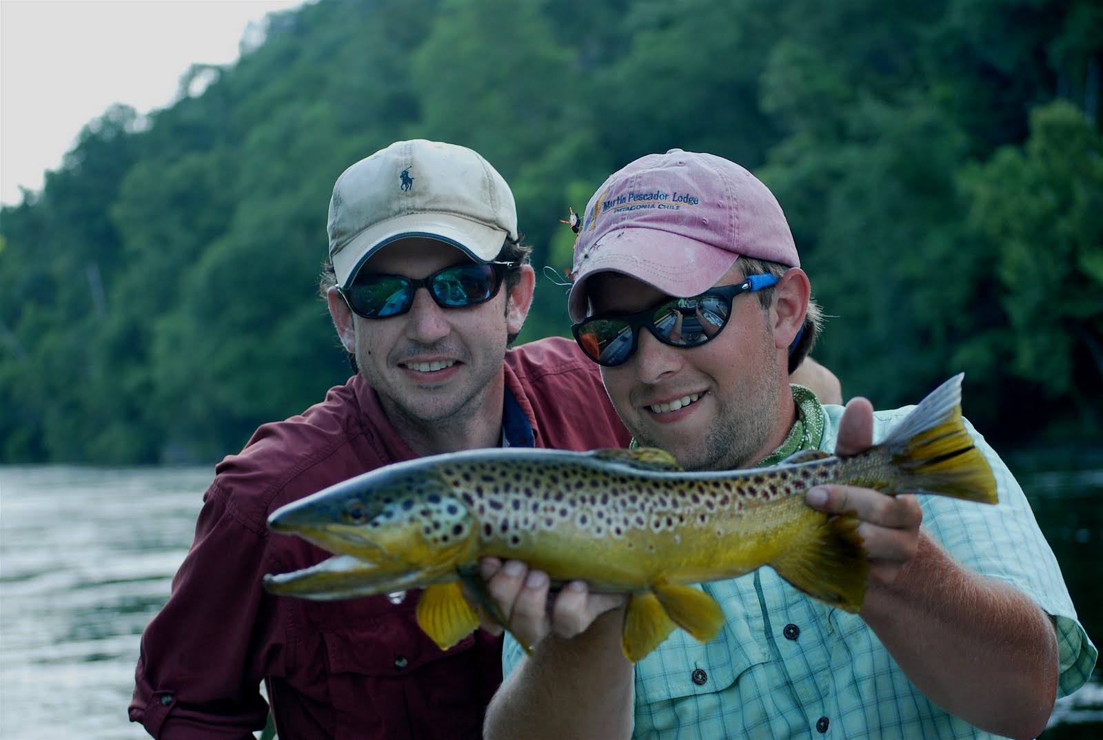 Arkansas Fly Fishing Report: White River (Bull Shoals Dam)