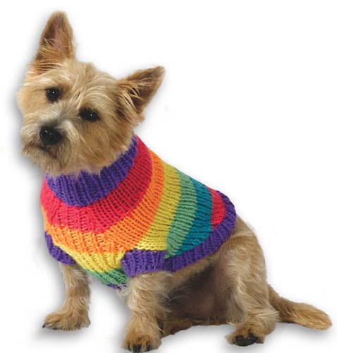 puppy sweater pattern