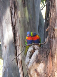 Some of our neighbours