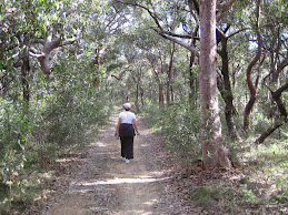 Bush Track Murrays Beach