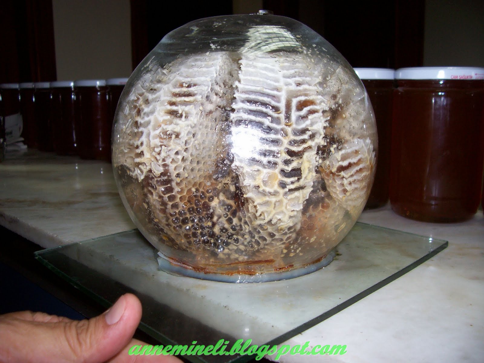 ANNEMİNELİ ÇORUM HASAN ZAHİR ET LOKANTASI