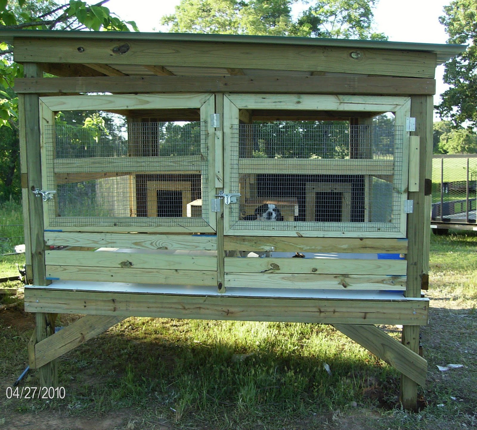 Galla FeistSquirrel Dog Hunting Photo Gallery Whelping Kennel