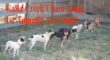 Galla Creek Chain Gang