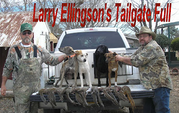 Larry Ellingson's Tailgate