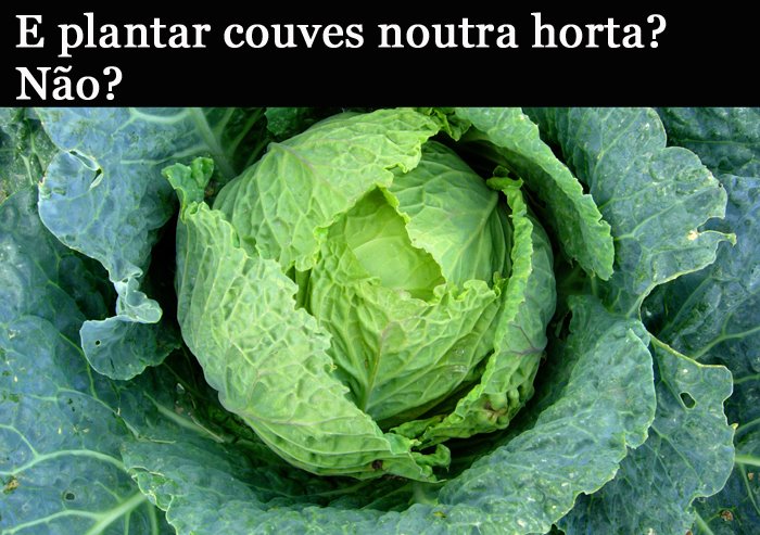 [860901_26258294+copy.jpg]