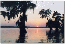 Sunset - Lake Martin