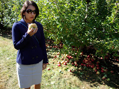 new england apple picking
