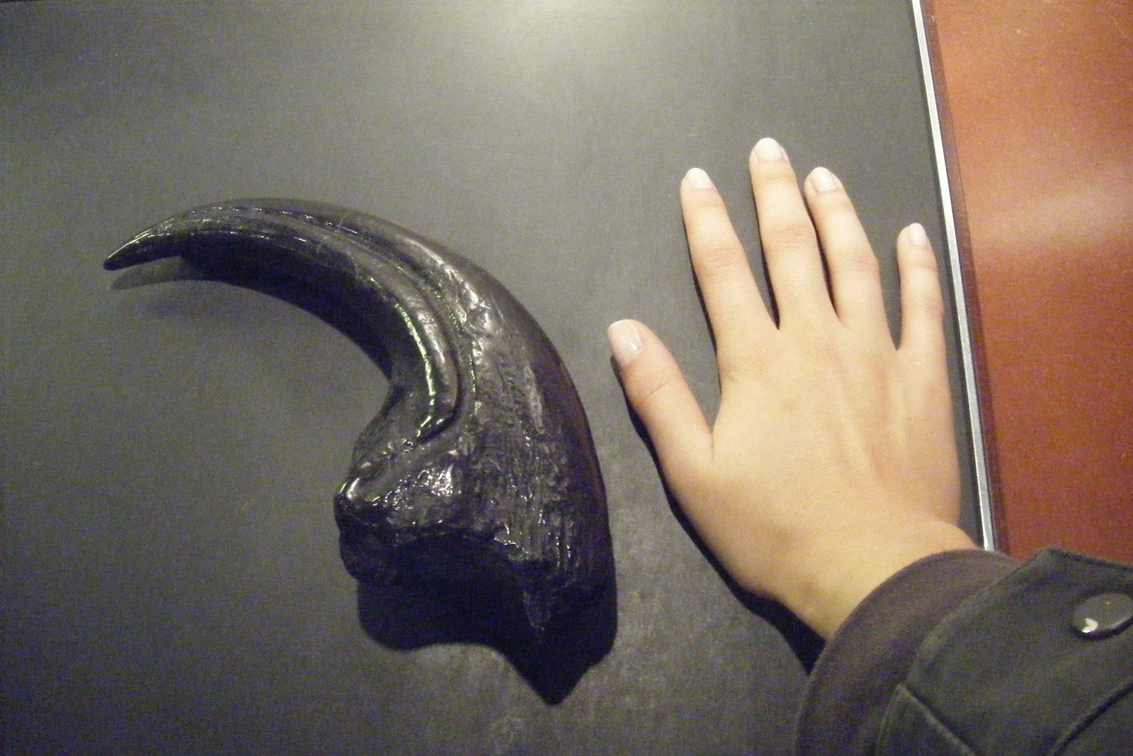 [Londres2008+087.JPG]