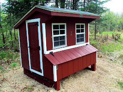 chickens winter mishaps amish chicken coop built during homestead scratch
