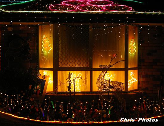 [Christmas+Lioghts+3.JPG]