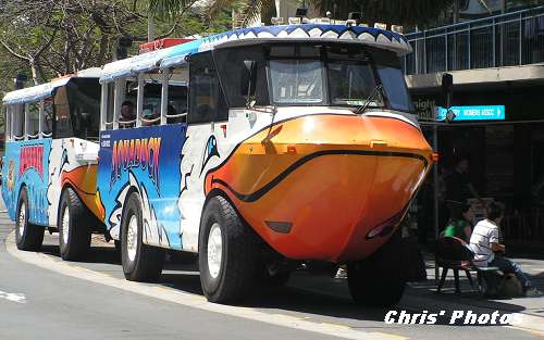 [Amphibus.JPG]