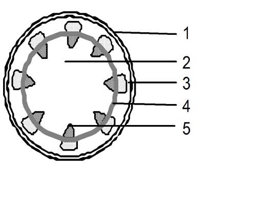 MASTER SAINS: SOAL ORGANISASI KEHIDUPAN KELAS 7 SEMESTER GENAP