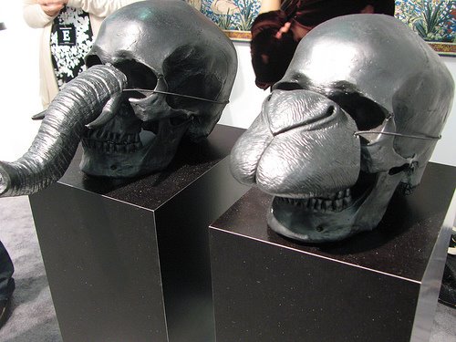 [2369756742_725d3d9111.jpg]