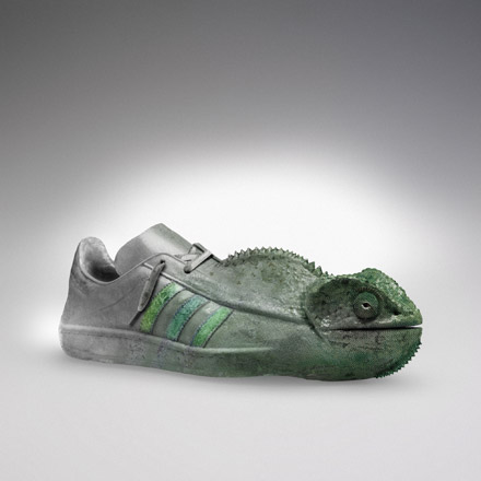 [ADIDAS_CHAMELEON.jpg]