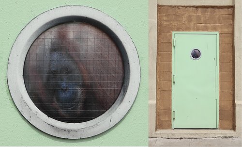 [3733266467_22dd0654a9.jpg]