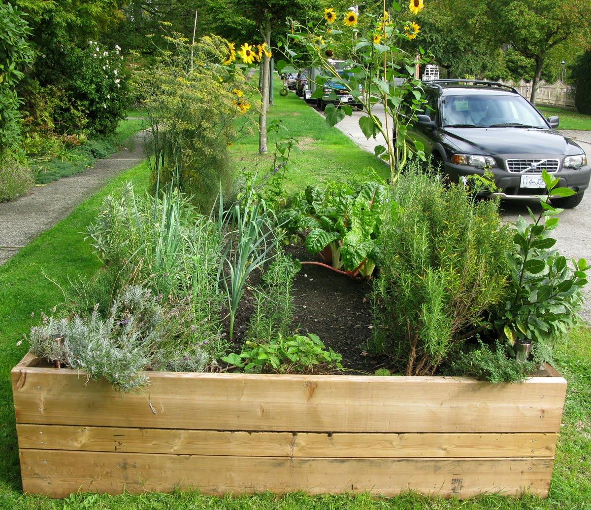 Growing Edibles in Vancouver, British Columbia Vegetables in the Front