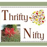 ThriftyNifty
