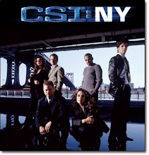 CSI NEW YORK