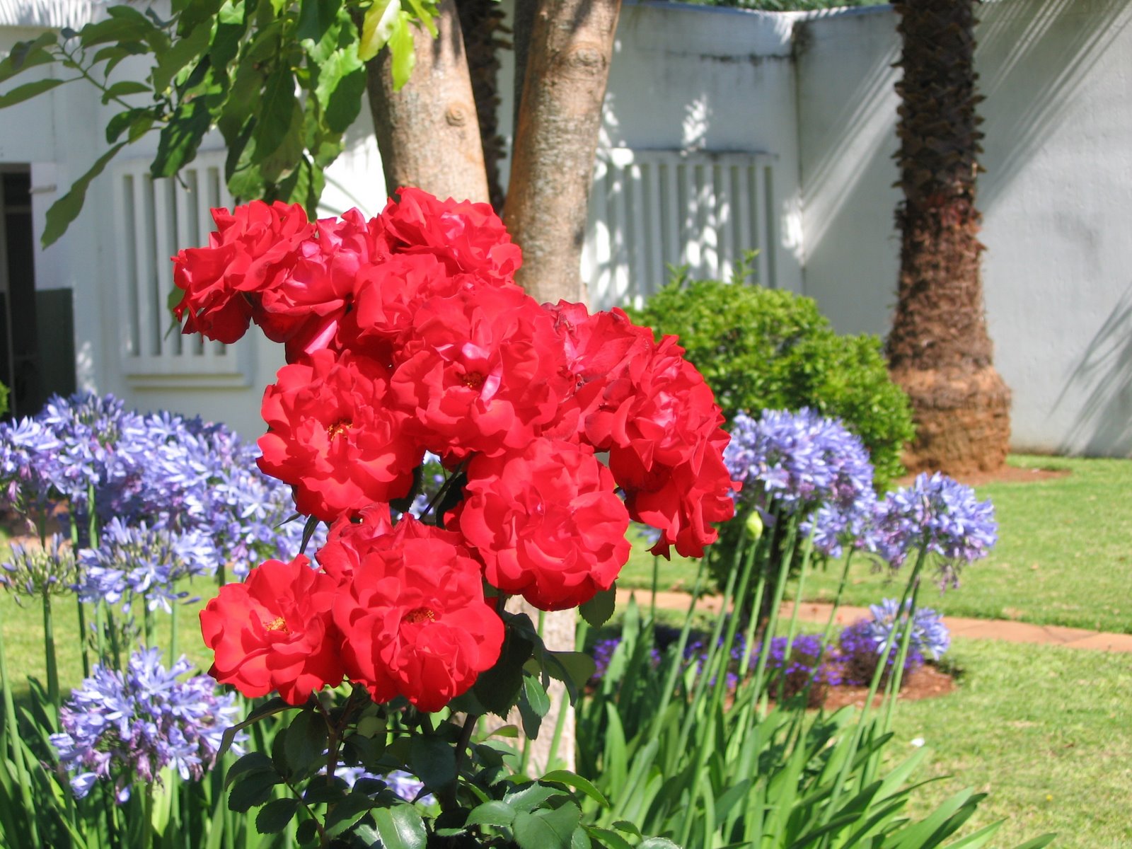 [Copy+of+IMG_0003.JPG]