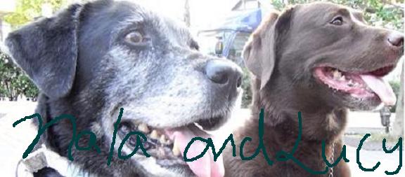 Nala and Lucy