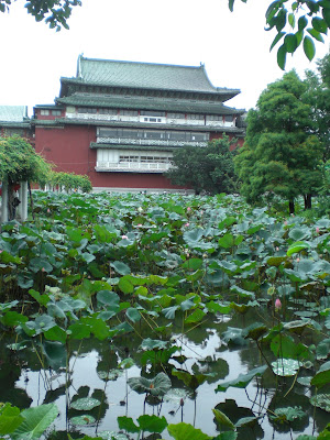 台湾の植物園での写真