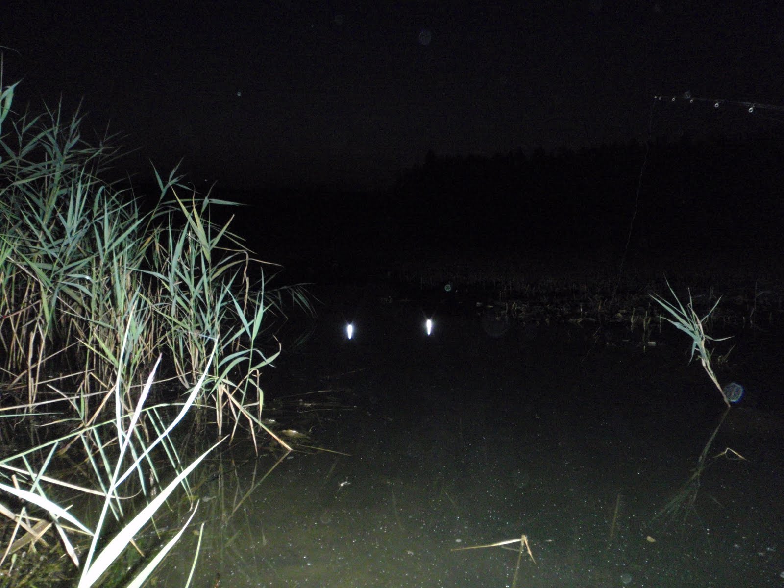 Ловить рыбу ночью. Ночная рыбалка. Ночная рыбалка летом. Ловля ночью. Ночная рыбалка на пруду.