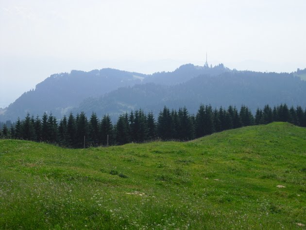Naturschutz und Wildnis in Europa Naturschutzgebiet Hirschberg in