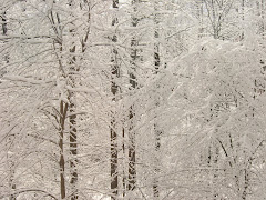 March 2 in Greensboro NC