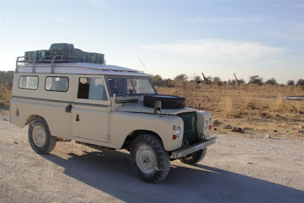 Kim and the Giraffes