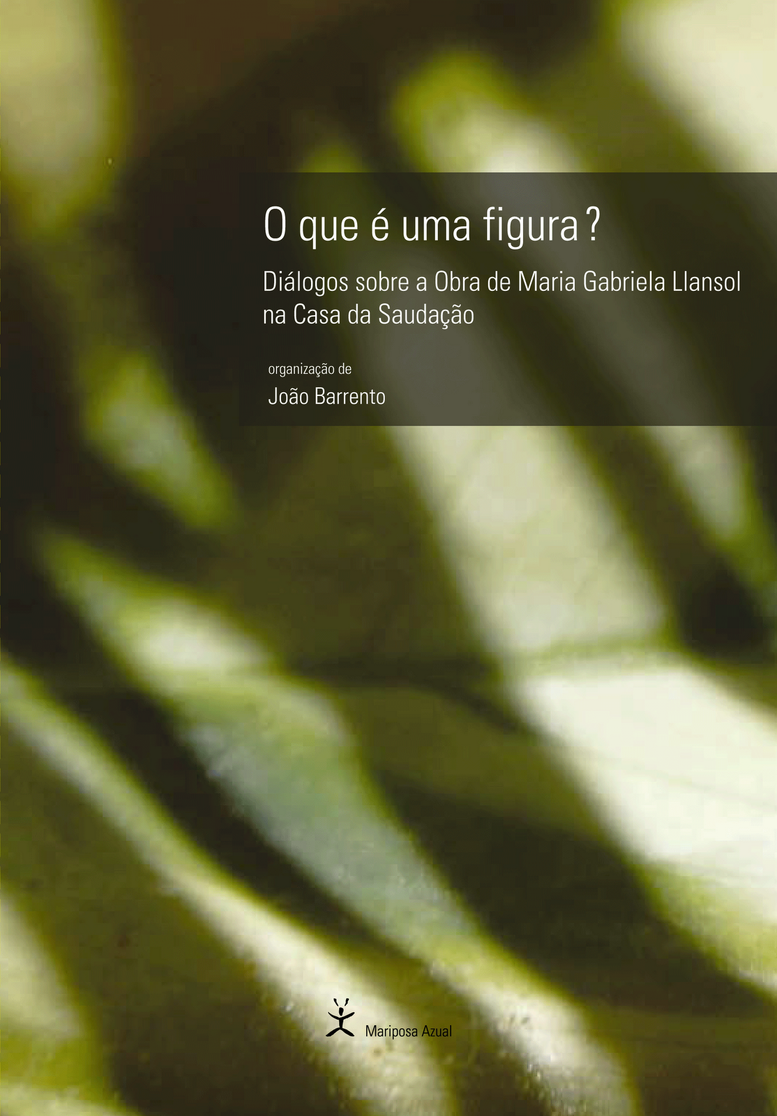 [CapaLivroFigura.gif]