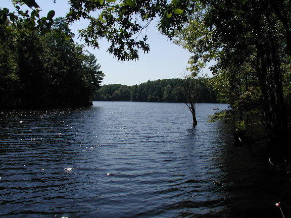 Our Camping Adventures....