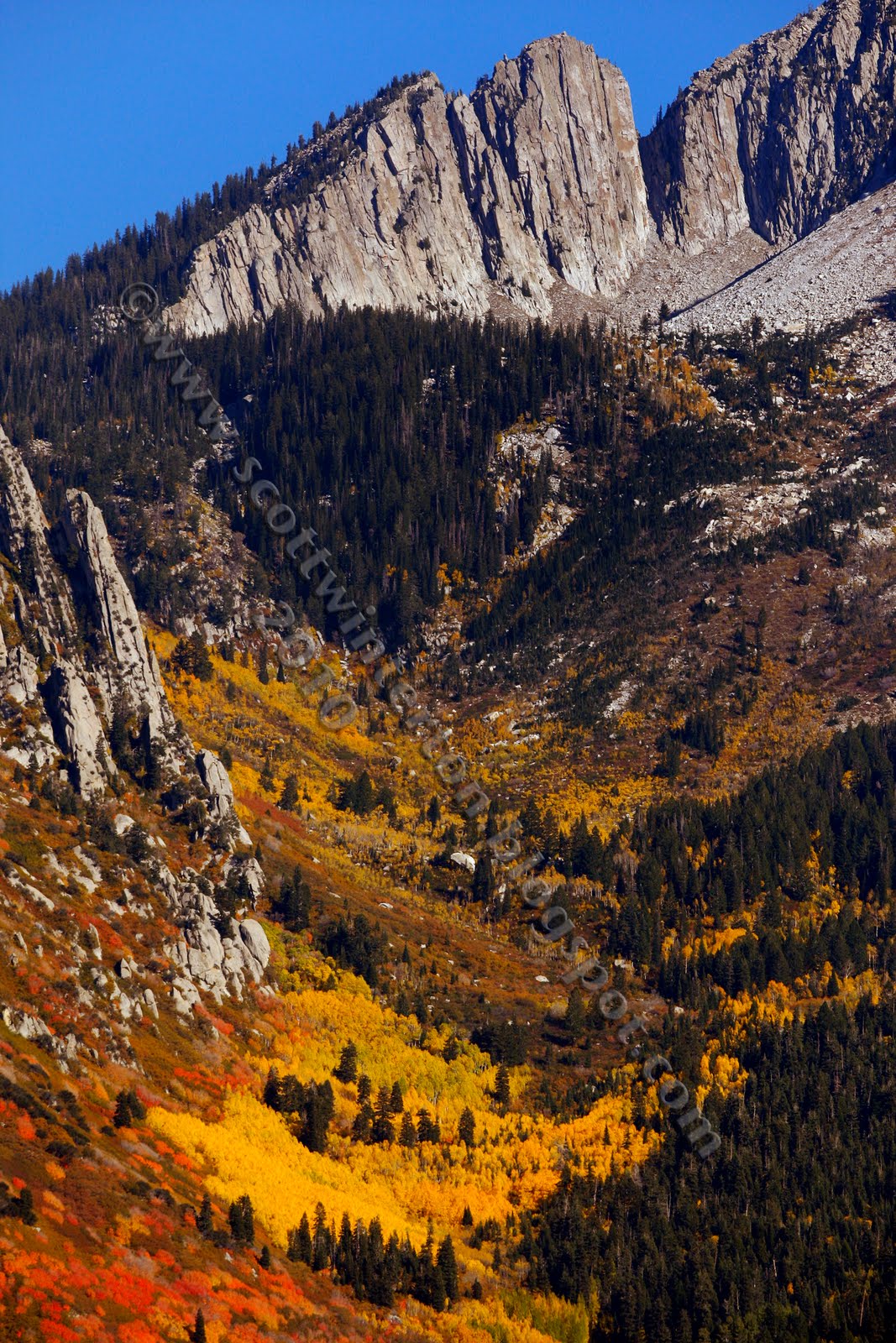 Scott G Winterton Photographer: Mountain colors