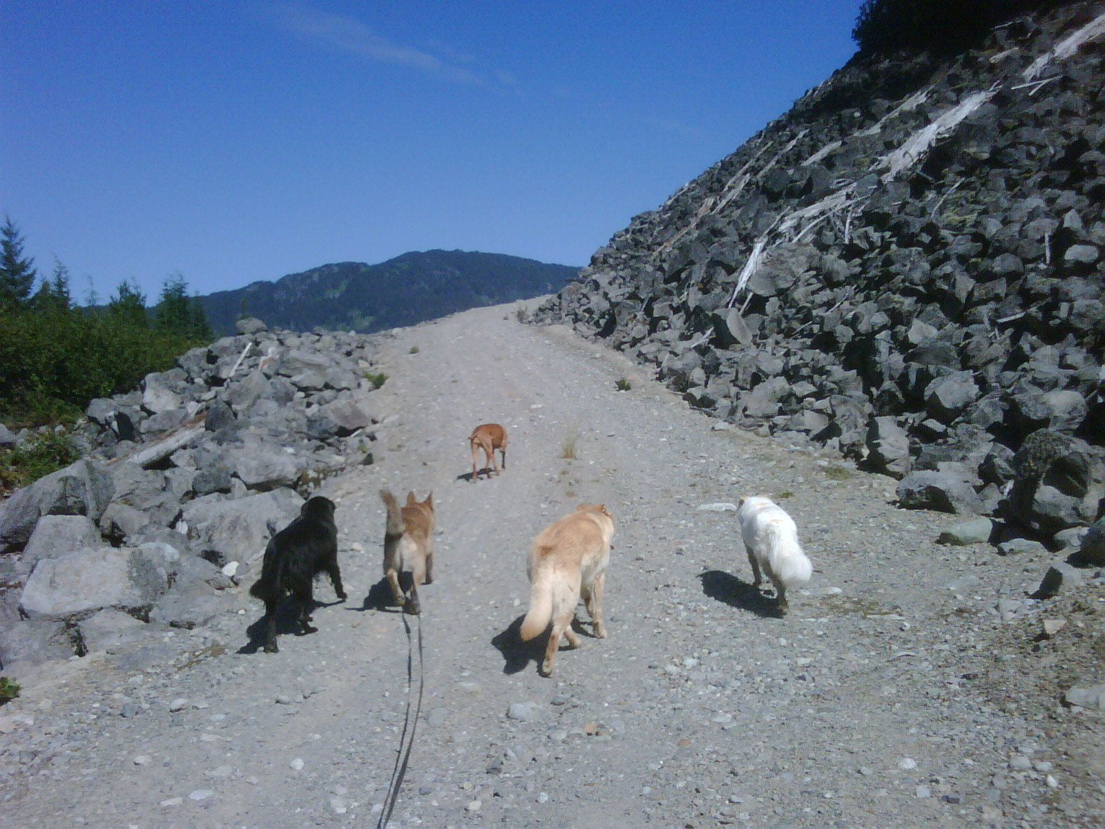 Off Leash Mountain Adventures Epic Hike!