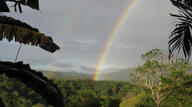 what dreams are made of