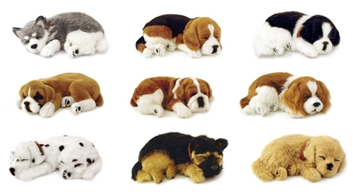 Perfect petzzz джек рассел. Perfect petzzz корги. Питомцы perfect petzzz котенок. Perfect petzzz кавалер кинг. Perfect petzzz собака.