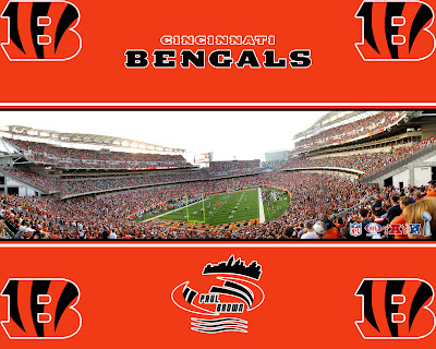 Paul Brown stadium, Cincinnati Bengals wallpaper, nfl wallpaper