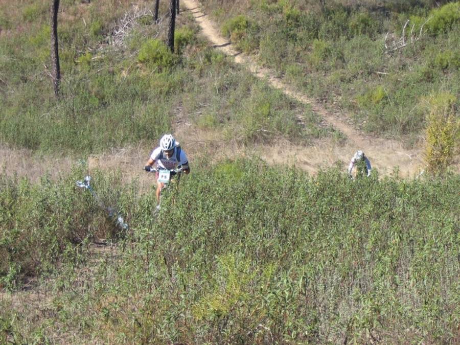 [Transpinhal_034P.jpg]