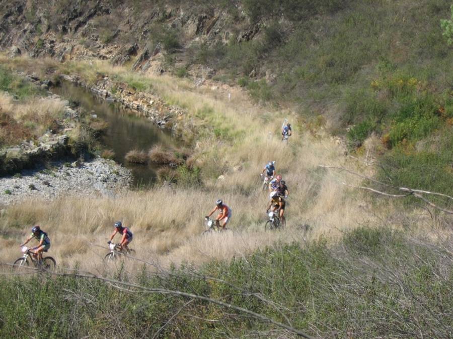 [Transpinhal_042P.jpg]