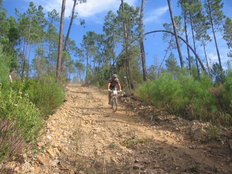 [Transpinhal_168P.jpg]