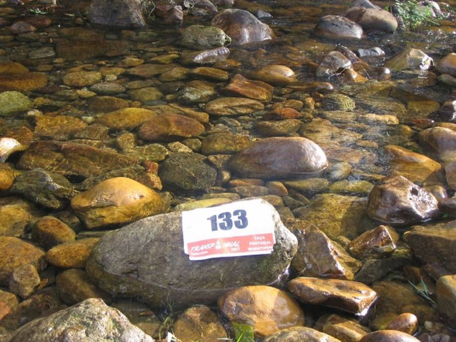 [Transpinhal_176P.jpg]