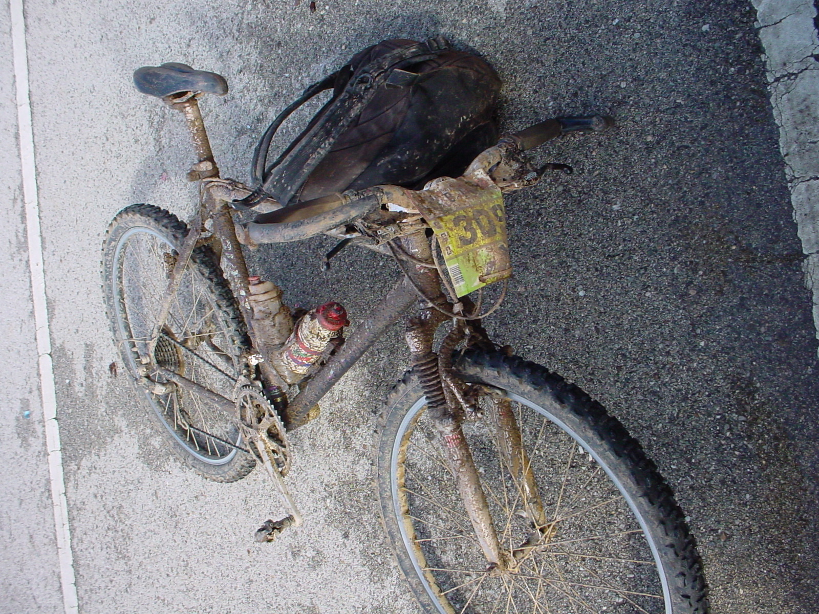 [btt+bussaco+016.jpg]