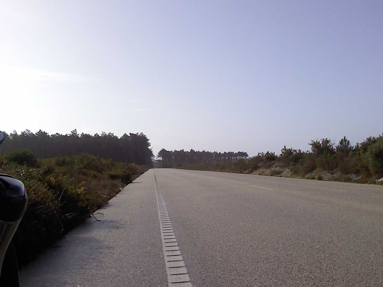 [20100221+vieira2.jpg]