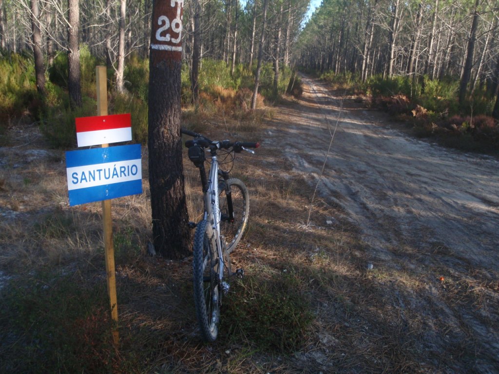 [domingoPA27072301.JPG]