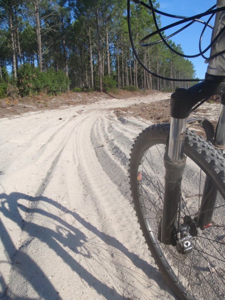 [domingoPA27072804.JPG]