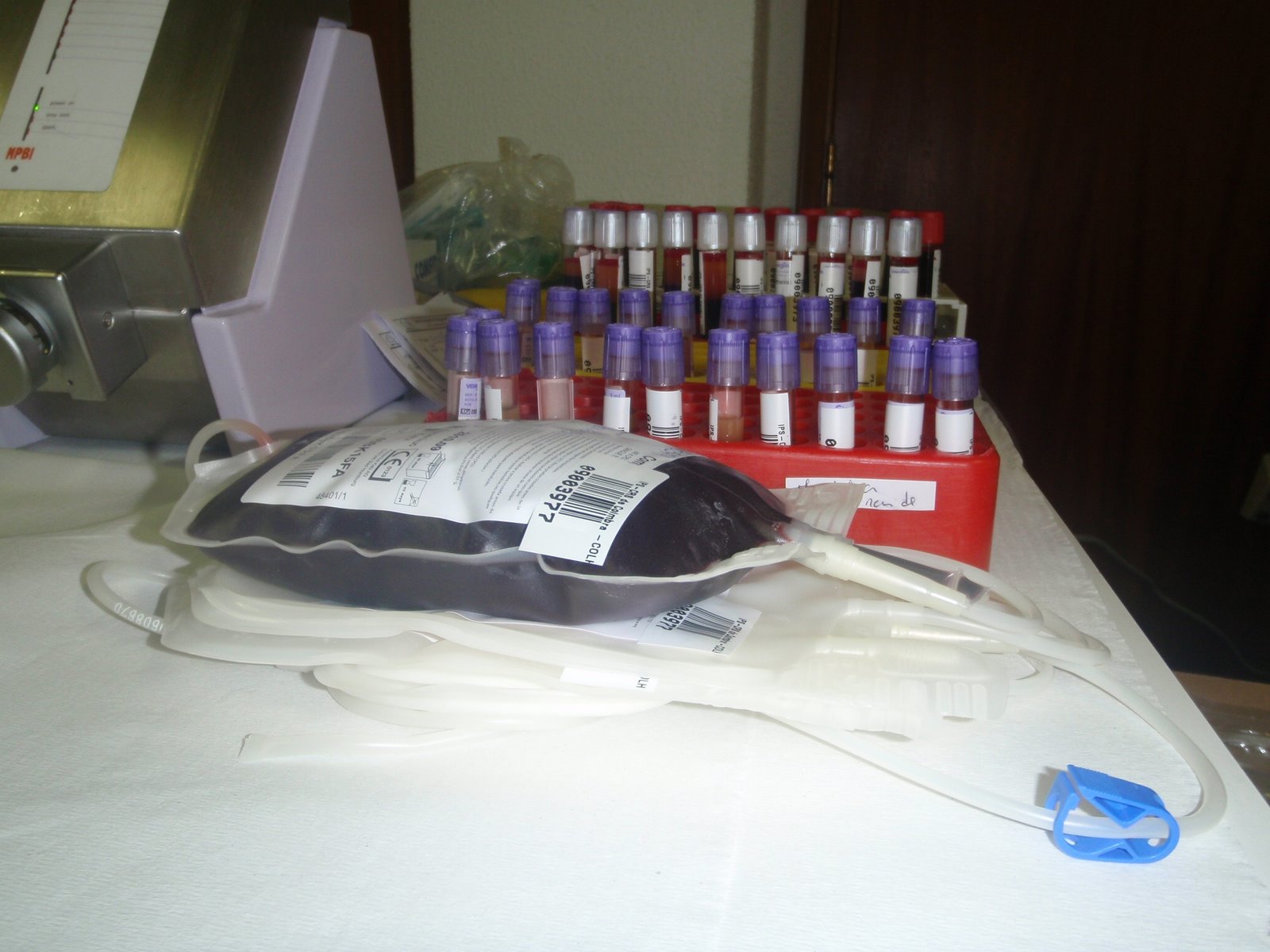 [20090121065_20090121_174755.jpg]