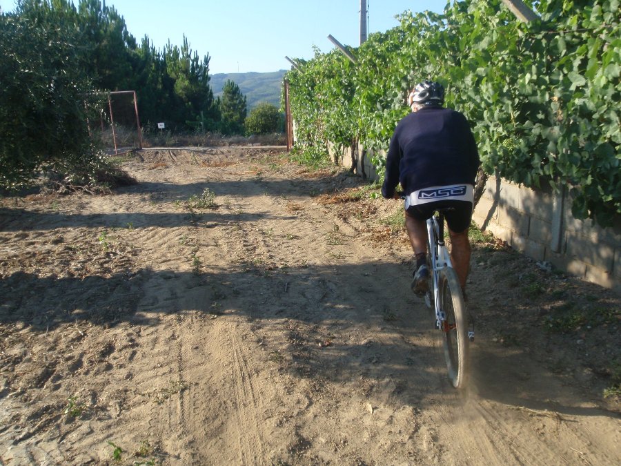 [6+girao+vinhas.JPG]