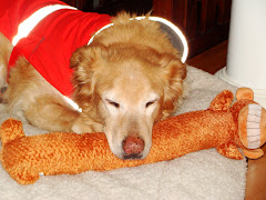 the baby of the family-