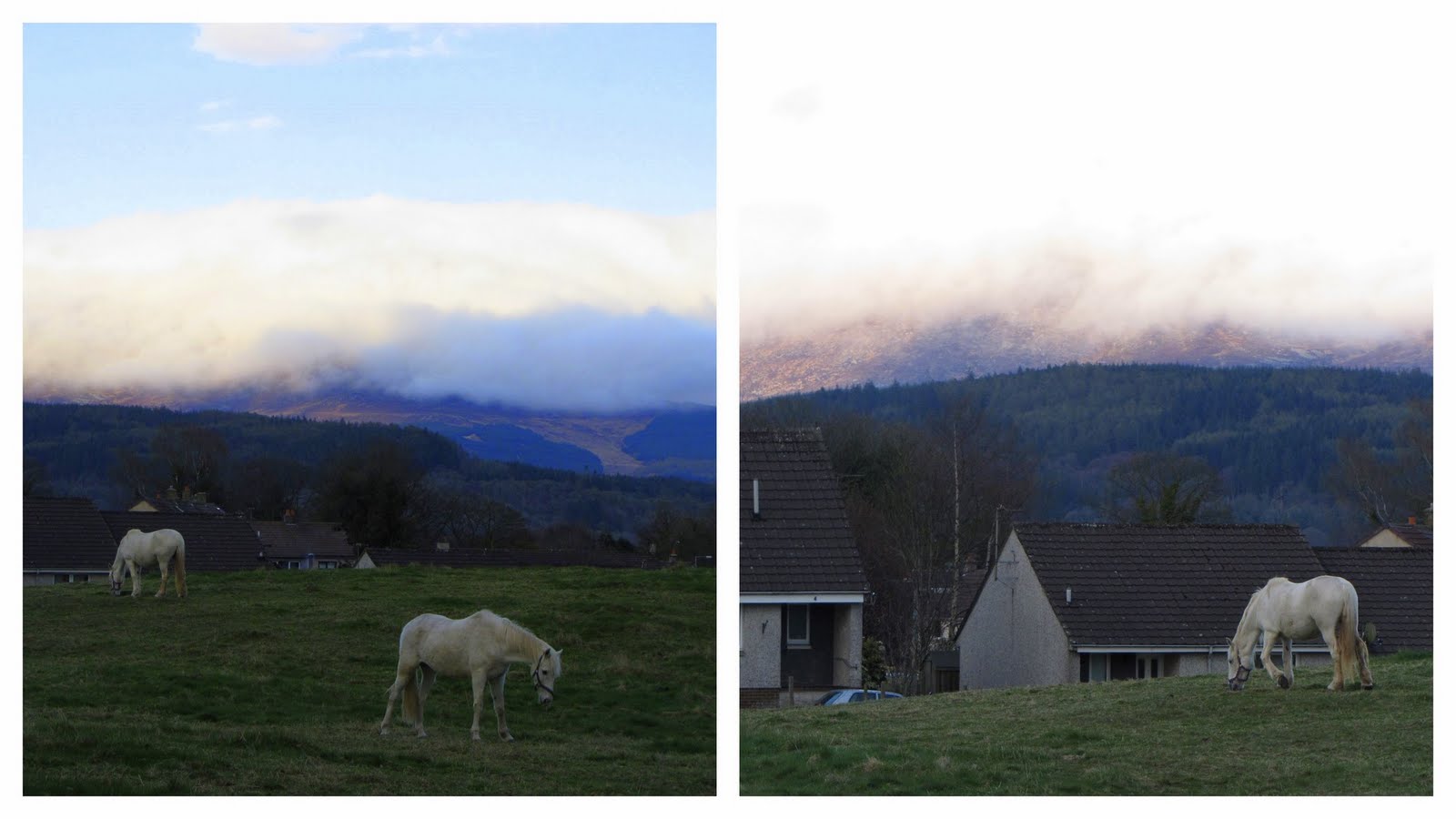 The Glebe Blog Atmospheric Volcanic Ash The Glebe Blog Atmospheric Volcanic Ash