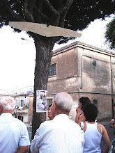 le ali bianche i capelli bianchi