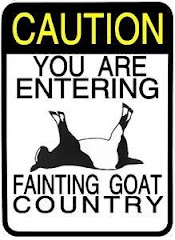 Fainting Goats R US